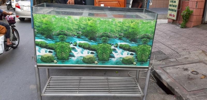 Thanh lý bể cá kệ inox